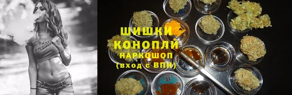 СК Бронницы