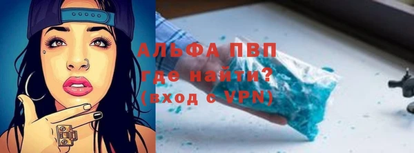 ПСИЛОЦИБИНОВЫЕ ГРИБЫ Бородино