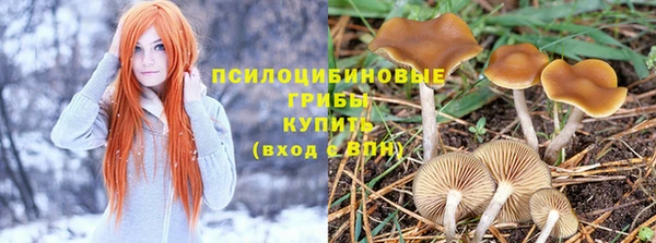 мефедрон Богородицк
