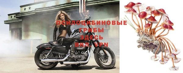ПСИЛОЦИБИНОВЫЕ ГРИБЫ Бородино