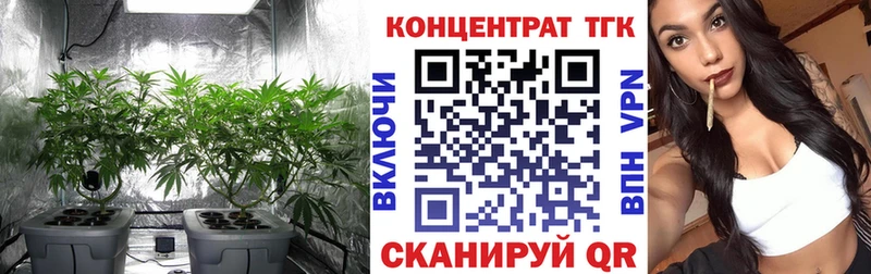 ТГК концентрат  Белёв 