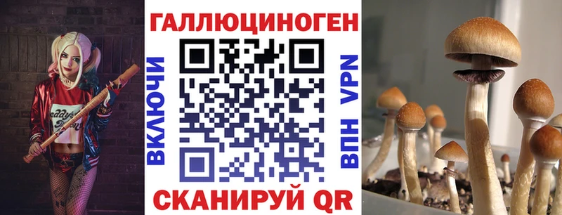 Псилоцибиновые грибы мухоморы  где купить   mega ССЫЛКА  Белёв 